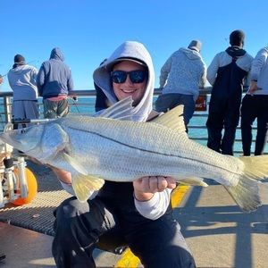 Meet your Posher, Matthew